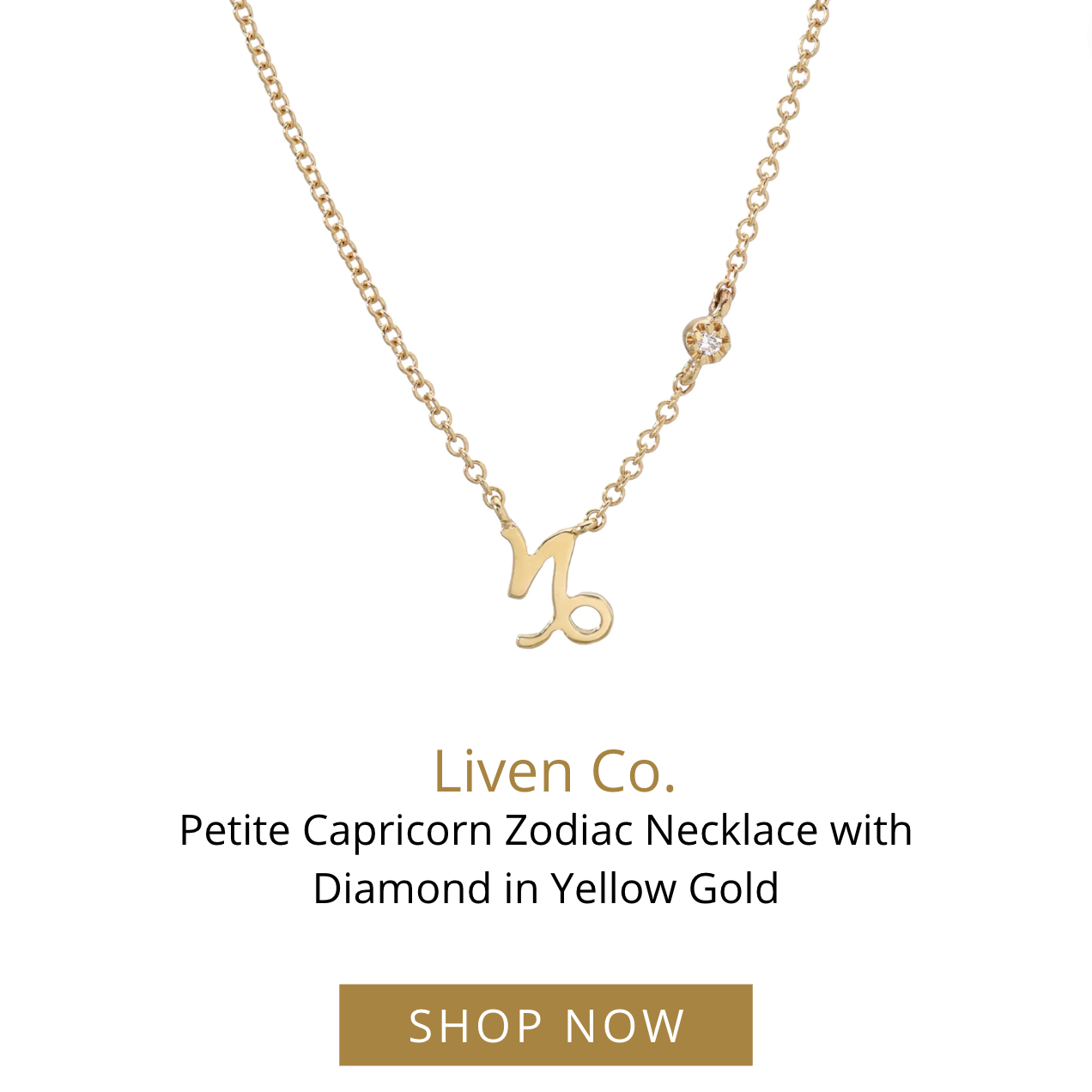 Petite Capricorn Zodiac Necklace with Diamond in Yellow Gold